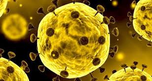 تعداد مبتلایان به ویروس کرونا در لرستان به ۱۰۵۹ نفر رسید- ۲۳ فروردین