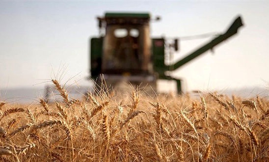 برداشت محصولات کشاورزی از ۲۰ اردیبهشت ماه در لرستان