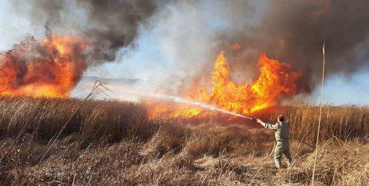 مهار آتش سوزی باغ همجوار مزارع کشاورزی در کوهدشت