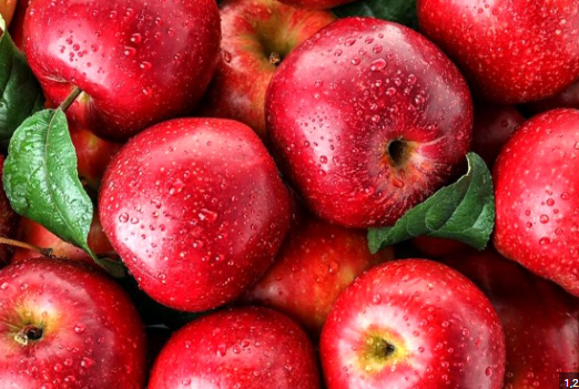 سالانه بیش از ۴۸ هزار تن سیب در بروجرد تولید می‌شود