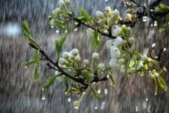 افزایش ۱۲ درصدی میزان بارندگی در لرستان